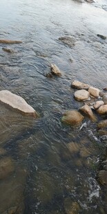 溪流