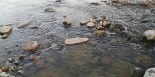 潺潺溪水