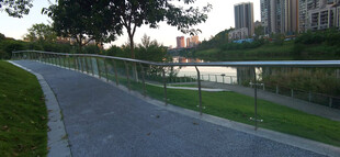 城市中的宁静林荫小路与玻璃护栏