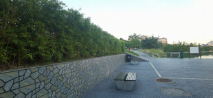 广场旁茂密竹林与休息长椅景观