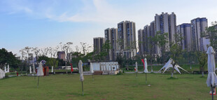 城市绿地旁的高楼景观