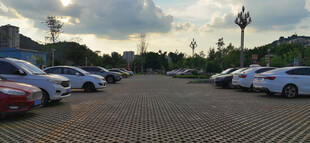 停车场内整齐停放的车辆