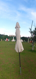 草地上合起来的白色遮阳伞