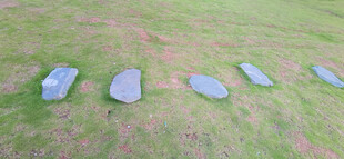 草地上的蓝色石板路