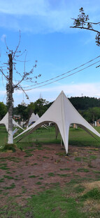 户外白色帐篷与枯树景观