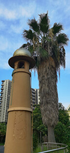 户外高耸的锥形塔与棕榈树