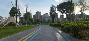 公园中的宽阔柏油道路