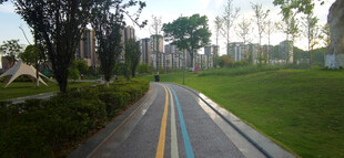 城市中的彩色自行车道