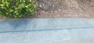 户外石板路与绿植景观