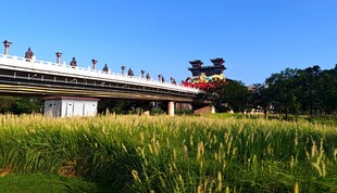 桥上行人与田野风光