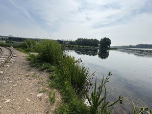 河畔自然风光美景