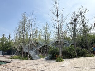 户外休闲木质景观区