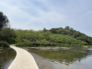 湖畔蜿蜒小径 绿意盎然