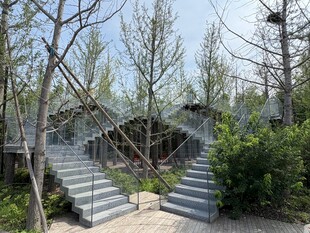 林间木质阶梯景观