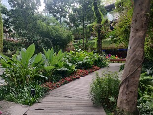 幽静园林小径 绿植环绕