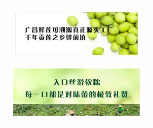 莲子 莲蓬 绿色农产品海报