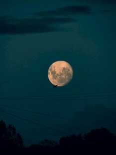 夜空下的满月