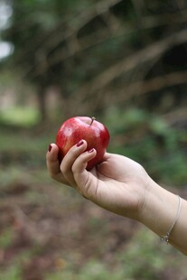 苹果