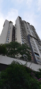 高楼林立于绿树之上