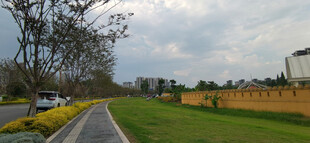 城市人行道与宽广草坪