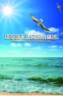 碧海蓝天海鸥伴阳光海岸 合成图
