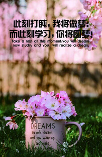 花香伴学 学习时光 合成图