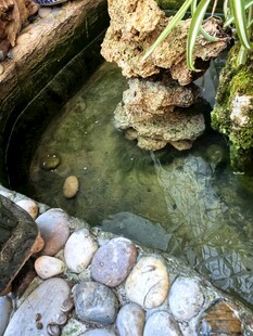 庭院中的潺潺流水景观