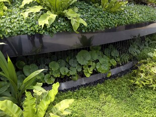 多层绿植景观