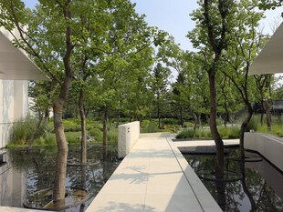 现代水景庭院景观