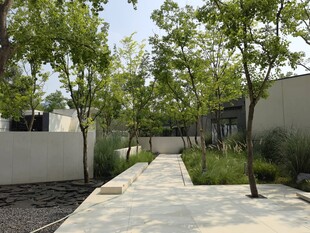 现代庭院景观小道