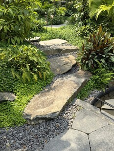 自然风花园石板小径