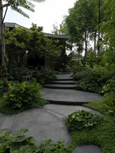 清幽庭院石板小径绿植景