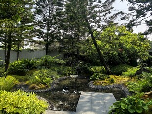 静谧园林景观小径