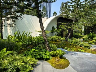 现代庭院绿植景观