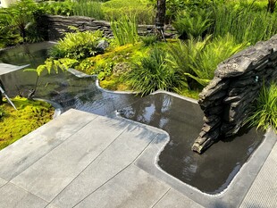 精致庭院水景与绿植景观