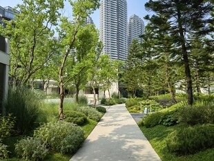 城市中的静谧林荫小径