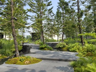 城市中的静谧林荫花园