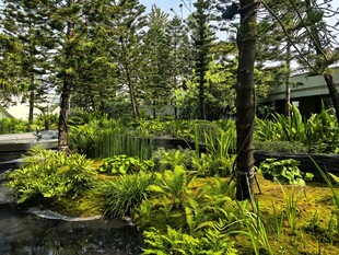 林间溪边绿植景观