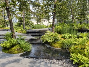 自然风庭院景观