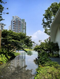 城市中静谧的水景与绿植