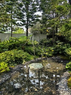 静谧林间的自然小景