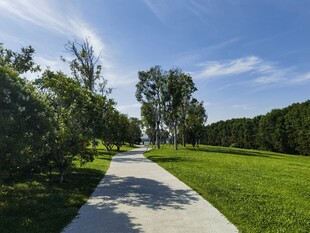 林间漫步道 绿意盎然景致