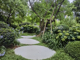 幽静园林小径 绿意盎然