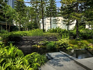 城市中的静谧绿植景观