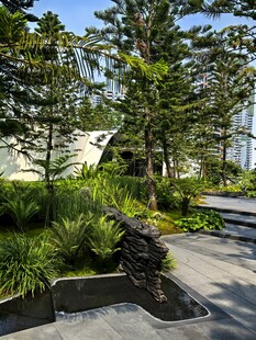 城市中的静谧绿植景观