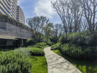 城市中的静谧绿植小径