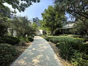 林荫小道 静谧园林景致