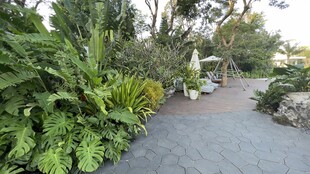 幽静绿植环绕的庭院小径