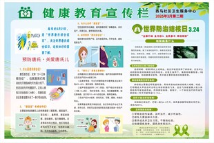 健康教育宣传栏展示