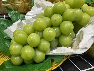 新鲜绿葡萄  饱满诱人